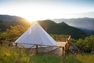 #1 Unforgettable Auckland Glamping Accommodation