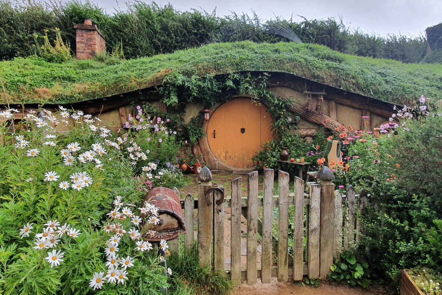 14 Day Northern Kiwi Small Group Tour