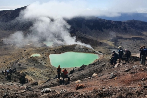 14 Day Northern Kiwi Small Group Tour