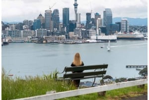 5 uur durende stadsexcursie met gids: ontdek de schatten van Auckland