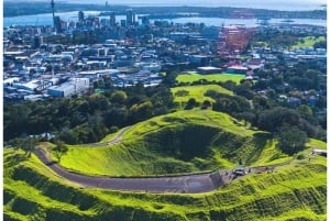 5 uur durende stadsexcursie met gids: ontdek de schatten van Auckland