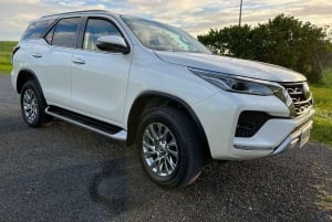 5 uur durende stadsexcursie met gids: ontdek de schatten van Auckland