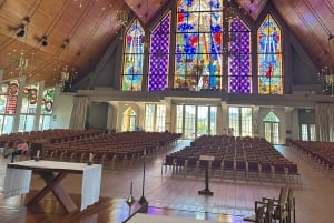 5 uur durende stadsexcursie met gids: ontdek de schatten van Auckland