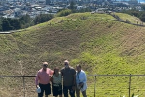 5 uur durende stadsexcursie met gids: ontdek de schatten van Auckland