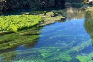 AKL: TE PUIA com buffet, Poly'sian Spa e Blue Springs – Passeio de um dia