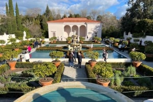 AKL : Glowworm de Waitomo, oiseau Kiwi, déjeuner et jardins de Hamilton