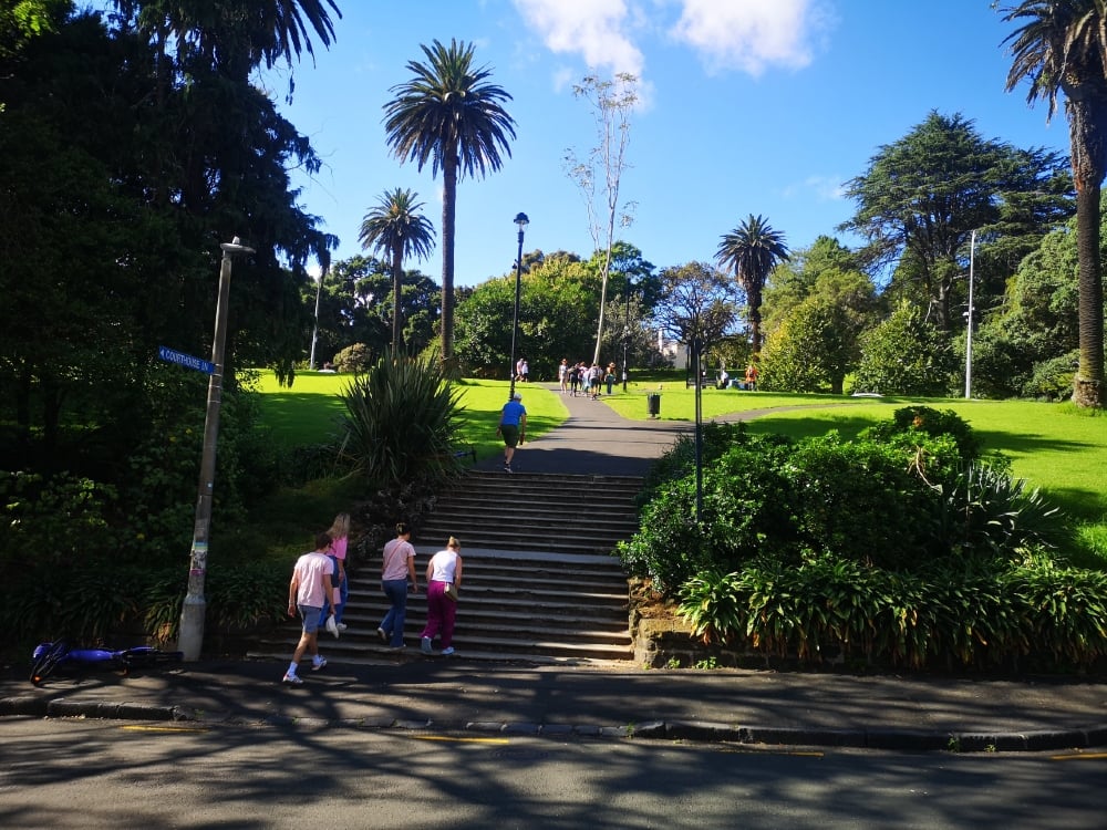 Best Auckland Parks To Visit