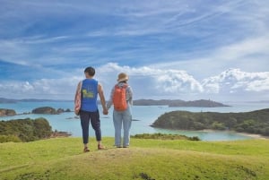 Auckland : visite en petit groupe de deux jours dans la baie des Îles avec croisière