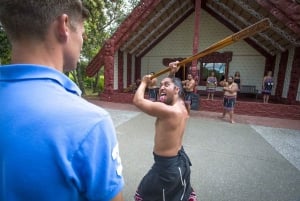 Auckland : visite en petit groupe de deux jours dans la baie des Îles avec croisière