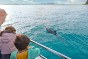 Auckland : visite en petit groupe de deux jours dans la baie des Îles avec croisière