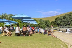 Auckland : visite en petit groupe de deux jours dans la baie des Îles avec croisière