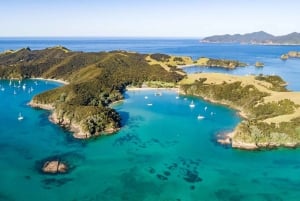 Auckland : visite en petit groupe de deux jours dans la baie des Îles avec croisière