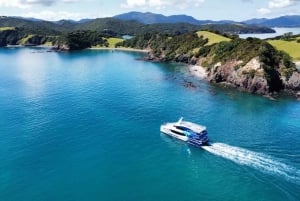 Auckland : visite en petit groupe de deux jours dans la baie des Îles avec croisière