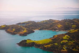 Auckland: 20 minuutin helikopterin maisemalento – kaupunki ja tulivuoret