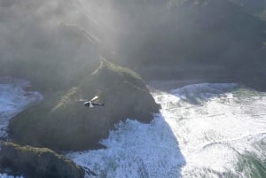 Auckland: 36 min scenic helicopter flight - Coast to Coast