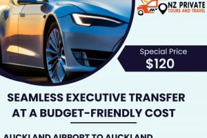 Auckland Airport Taxi: Private Transfer One Direction