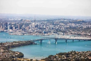 Auckland: AKL Flughafen zum Stadtzentrum | Hotels Privater Transfer