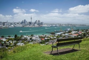 Auckland: AKL Flughafen zum Stadtzentrum | Hotels Privater Transfer