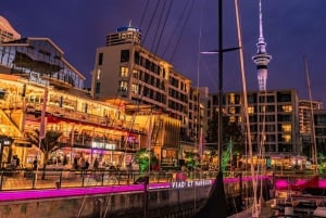 Auckland: AKL Flughafen zum Stadtzentrum | Hotels Privater Transfer