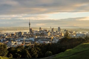 Auckland: trasferimento privato dall'aeroporto AKL al centro città | Hotel