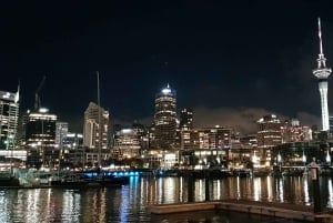 Auckland: traslado privado desde/hacia el aeropuerto de Auckland (AKL) y el centro de Auckland