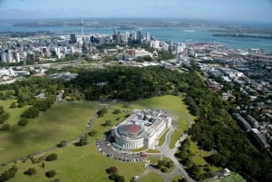 Auckland All-Day Trip with lunch