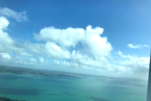 Auckland: Auckland City e Hauraki Gulf Scenic Flight