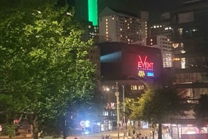 Auckland : Auckland City Tour 4 heures privées