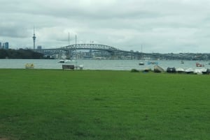 Auckland : Auckland City Tour 4 heures privées