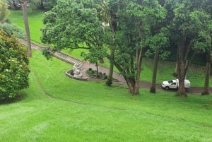 Auckland : Auckland City Tour 4 heures privées