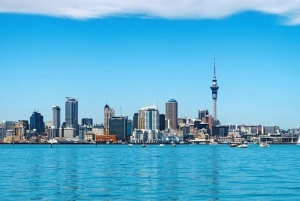 Auckland: Beste culinaire tour met een lokale gids