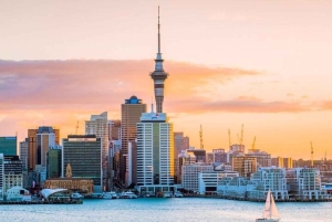 Auckland: Beste culinaire tour met een lokale gids