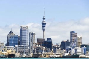 Auckland: Beste culinaire tour met een lokale gids
