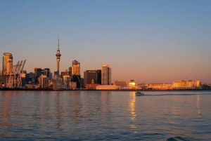 Auckland: Beste culinaire tour met een lokale gids