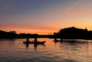 Auckland: Bioluminescence Kayak Tour by Night with Tuition