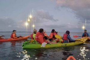 Auckland: Bioluminescence Kayak Tour by Night with Tuition