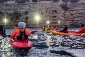 Auckland: Bioluminescence Kayak Tour by Night with Tuition