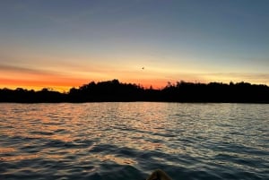 Auckland: tour in kayak con guida alla scoperta della bioluminescenza