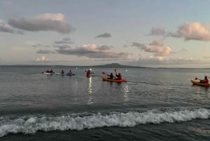 Auckland: tour in kayak con guida alla scoperta della bioluminescenza