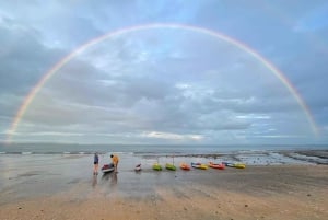 Auckland: tour in kayak con guida alla scoperta della bioluminescenza