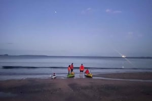 Auckland: tour in kayak con guida alla scoperta della bioluminescenza