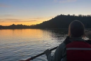 Auckland: tour in kayak con guida alla scoperta della bioluminescenza