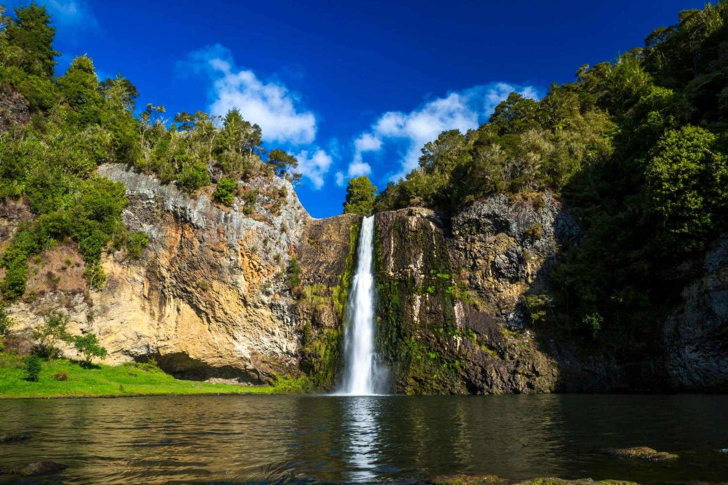 Auckland: Birdwatching, Hiking & Waterfalls Tour