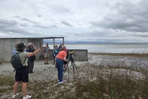 Auckland: tour de observación de aves, senderismo y cascadas