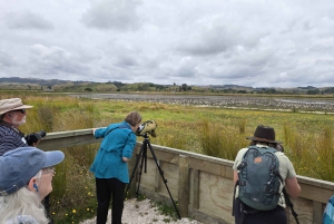 Auckland: tour de observación de aves, senderismo y cascadas