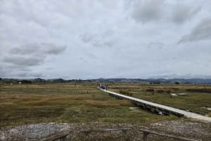 Auckland: tour de observación de aves, senderismo y cascadas