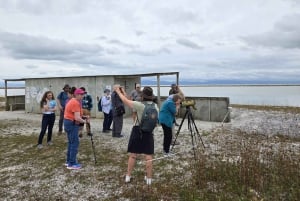 Auckland : excursion observation des oiseaux, randonnée et cascades