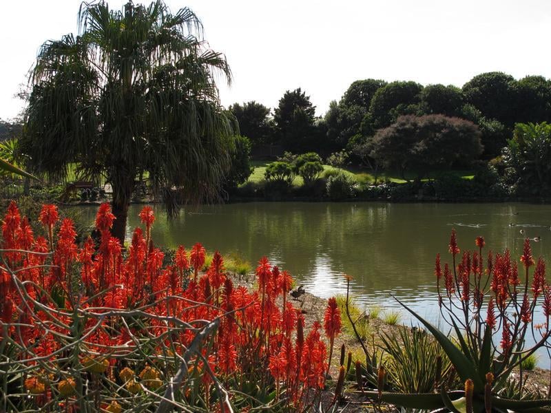 Auckland Botanic Gardens In Auckland