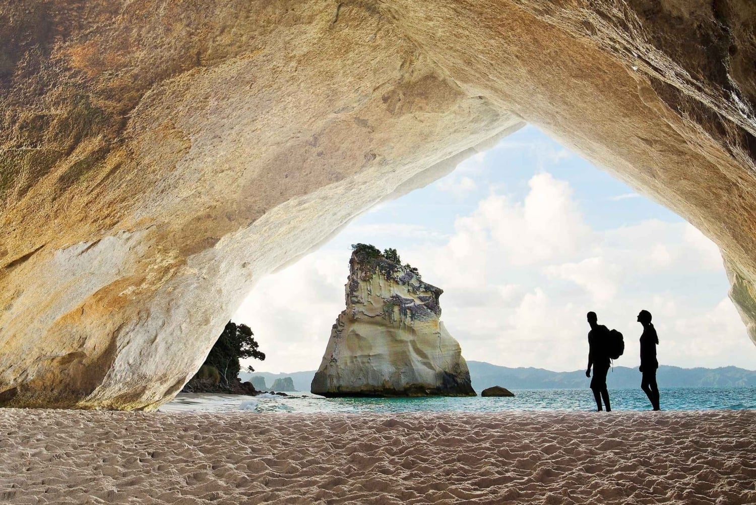 Auckland: Cathedral Cove and Hot Water Beach Day Trip