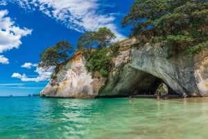 Auckland: Cathedral Cove and Hot Water Beach Day Trip